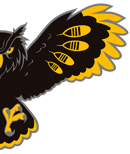 KSS Owls